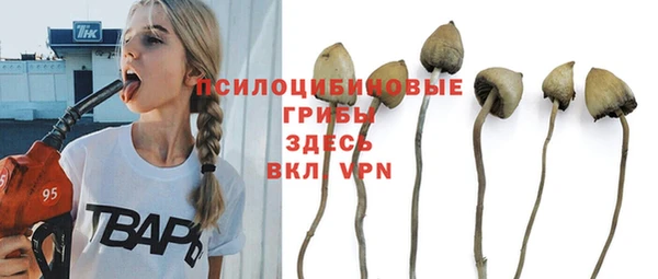 соль курить ск Гусиноозёрск