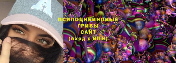 спайс Дмитров